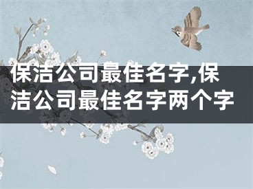 保洁公司最佳名字,保洁公司最佳名字两个字