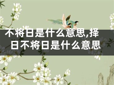 不将日是什么意思,择日不将日是什么意思