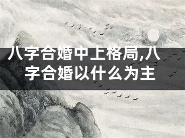 八字合婚中上格局,八字合婚以什么为主