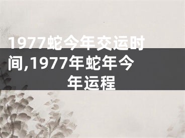 1977蛇今年交运时间,1977年蛇年今年运程