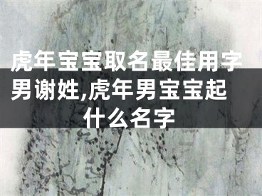 虎年宝宝取名最佳用字男谢姓,虎年男宝宝起什么名字