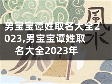 男宝宝谭姓取名大全2023,男宝宝谭姓取名大全2023年
