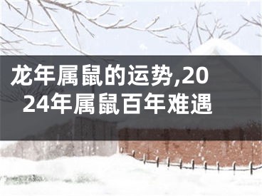 龙年属鼠的运势,2024年属鼠百年难遇