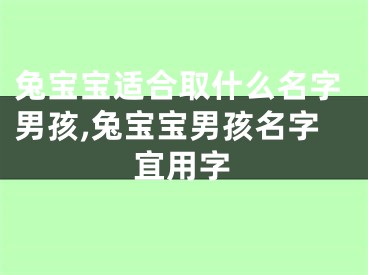 兔宝宝适合取什么名字男孩,兔宝宝男孩名字宜用字