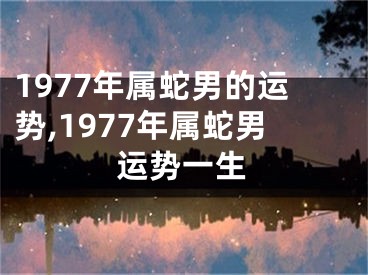 1977年属蛇男的运势,1977年属蛇男运势一生