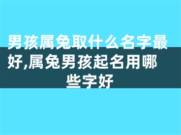 男孩属兔取什么名字最好,属兔男孩起名用哪些字好