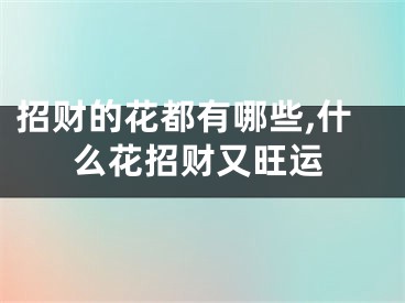 招财的花都有哪些,什么花招财又旺运