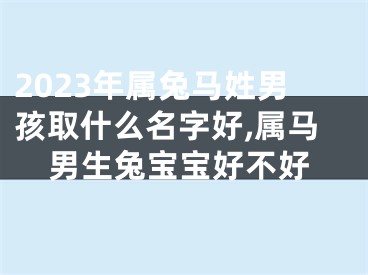 2023年属兔马姓男孩取什么名字好,属马男生兔宝宝好不好