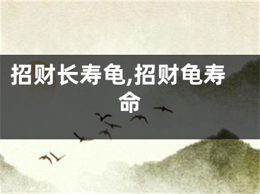 招财长寿龟,招财龟寿命