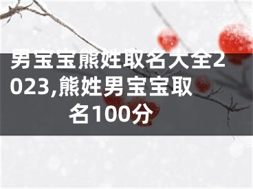 男宝宝熊姓取名大全2023,熊姓男宝宝取名100分