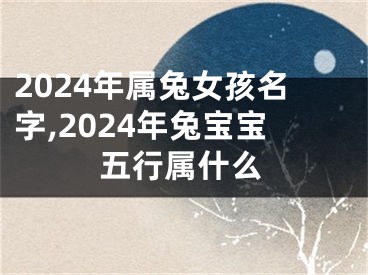 2024年属兔女孩名字,2024年兔宝宝五行属什么