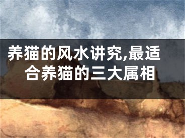 养猫的风水讲究,最适合养猫的三大属相