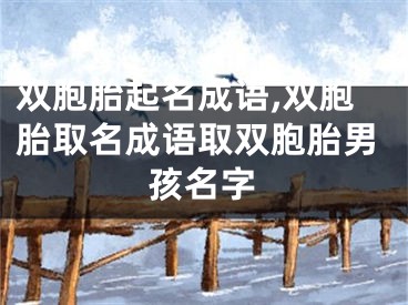 双胞胎起名成语,双胞胎取名成语取双胞胎男孩名字