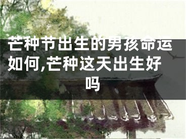 芒种节出生的男孩命运如何,芒种这天出生好吗