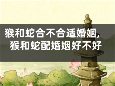 猴和蛇合不合适婚姻,猴和蛇配婚姻好不好