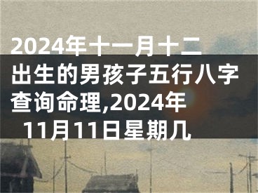 2024年十一月十二出生的男孩子五行八字查询命理,2024年11月11日星期几