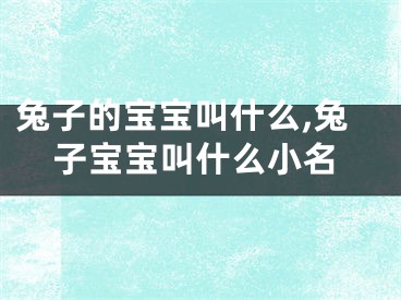 兔子的宝宝叫什么,兔子宝宝叫什么小名