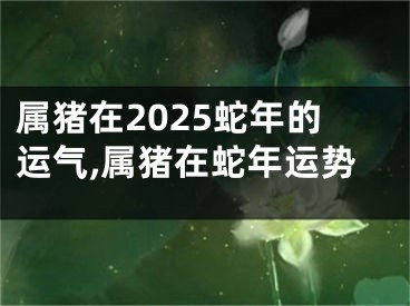属猪在2025蛇年的运气,属猪在蛇年运势