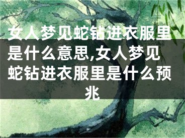 女人梦见蛇钻进衣服里是什么意思,女人梦见蛇钻进衣服里是什么预兆
