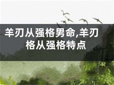 羊刃从强格男命,羊刃格从强格特点