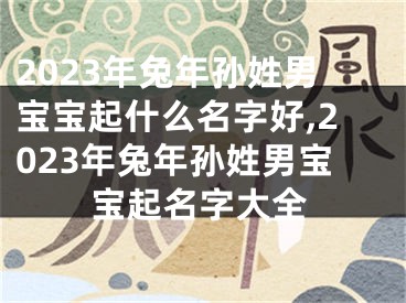 2023年兔年孙姓男宝宝起什么名字好,2023年兔年孙姓男宝宝起名字大全