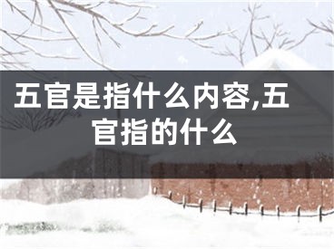 五官是指什么内容,五官指的什么