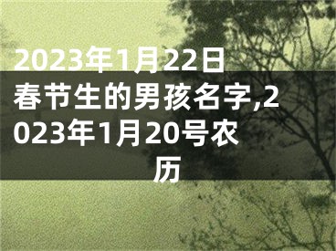 2023年1月22日春节生的男孩名字,2023年1月20号农历