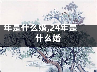 年是什么婚,24年是什么婚
