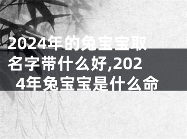 2024年的兔宝宝取名字带什么好,2024年兔宝宝是什么命