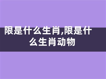 限是什么生肖,限是什么生肖动物