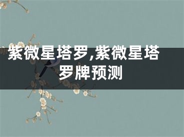 紫微星塔罗,紫微星塔罗牌预测