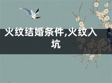火纹结婚条件,火纹入坑