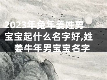 2023年兔年姜姓男宝宝起什么名字好,姓姜牛年男宝宝名字