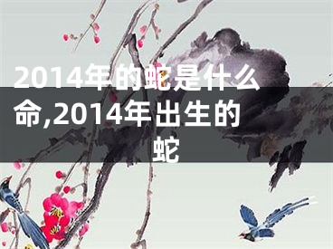 2014年的蛇是什么命,2014年出生的蛇