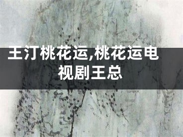 王汀桃花运,桃花运电视剧王总