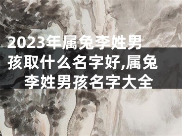 2023年属兔李姓男孩取什么名字好,属兔李姓男孩名字大全