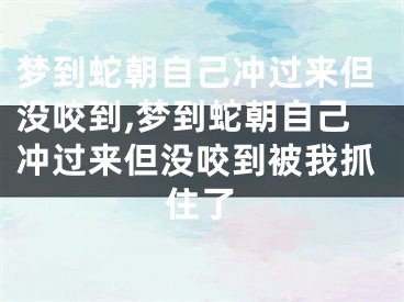 梦到蛇朝自己冲过来但没咬到,梦到蛇朝自己冲过来但没咬到被我抓住了