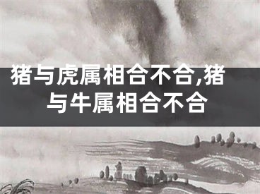 猪与虎属相合不合,猪与牛属相合不合