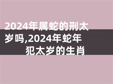 2024年属蛇的刑太岁吗,2024年蛇年犯太岁的生肖