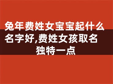 兔年费姓女宝宝起什么名字好,费姓女孩取名独特一点