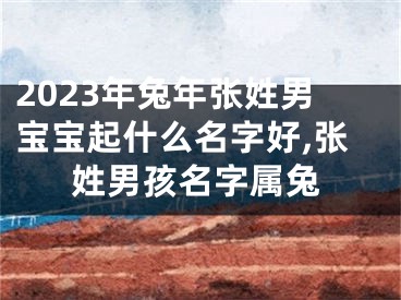 2023年兔年张姓男宝宝起什么名字好,张姓男孩名字属兔