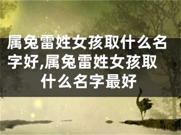 属兔雷姓女孩取什么名字好,属兔雷姓女孩取什么名字最好
