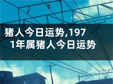 猪人今日运势,1971年属猪人今日运势