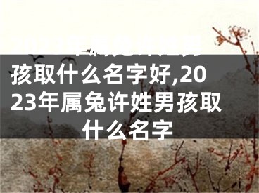 2023年属兔许姓男孩取什么名字好,2023年属兔许姓男孩取什么名字