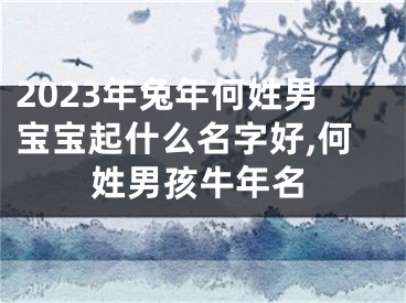 2023年兔年何姓男宝宝起什么名字好,何姓男孩牛年名