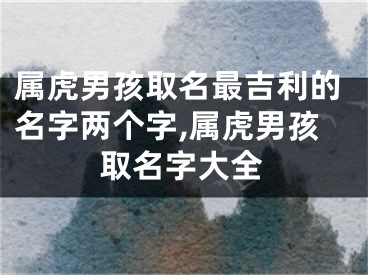 属虎男孩取名最吉利的名字两个字,属虎男孩取名字大全