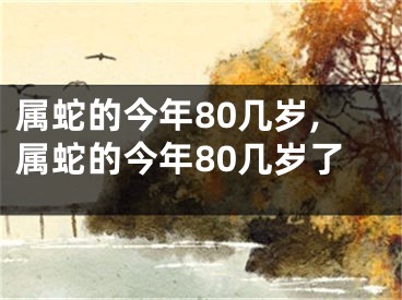 属蛇的今年80几岁,属蛇的今年80几岁了