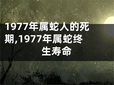 1977年属蛇人的死期,1977年属蛇终生寿命