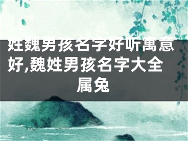 姓魏男孩名字好听寓意好,魏姓男孩名字大全属兔