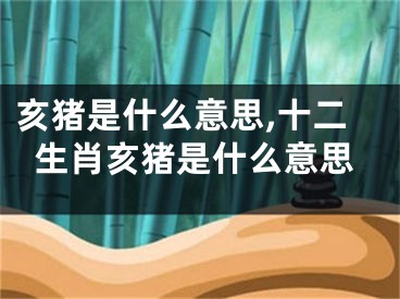 亥猪是什么意思,十二生肖亥猪是什么意思